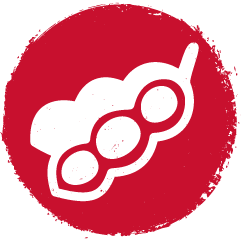 red corn and soybean icon